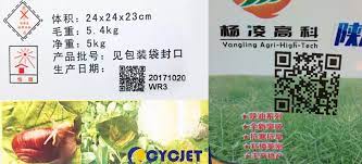 Código QR de pesticidas personalizado Transforma la línea de producción